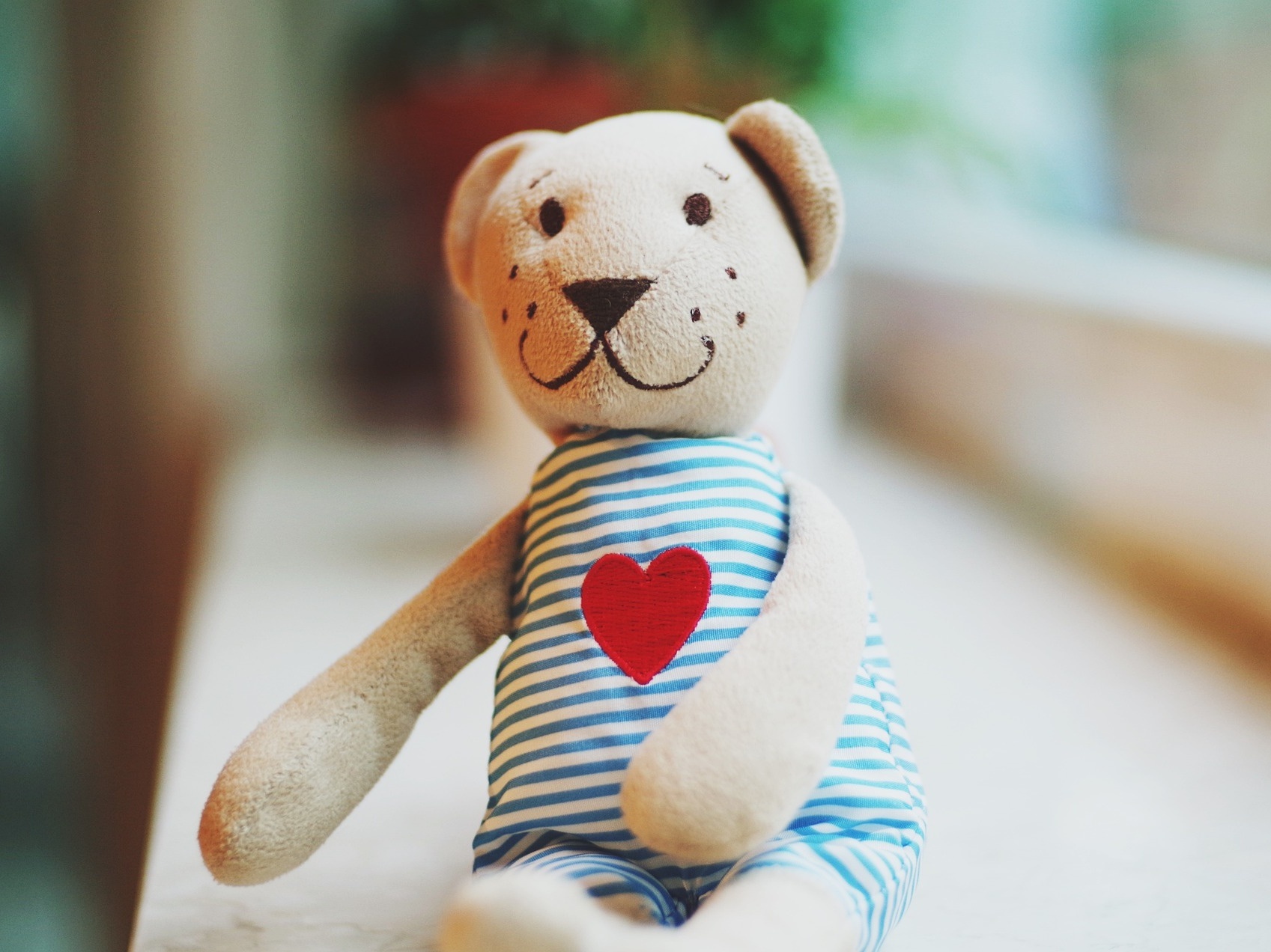 Kuscheltier Teddy Kuscheltier Teddy