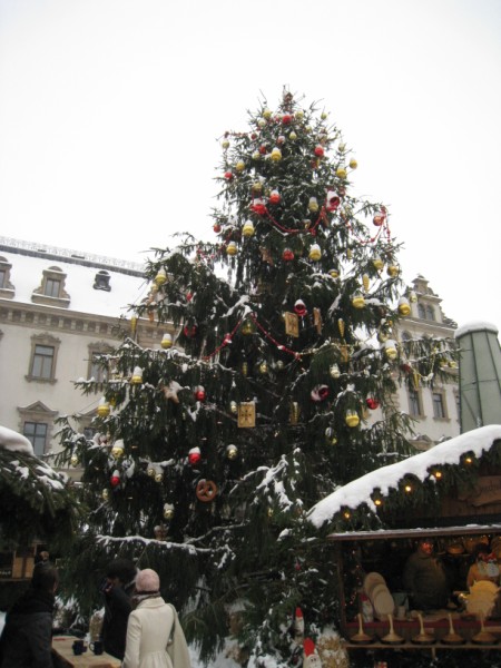 Fortbildung am 04.12.10 010_internet.jpg