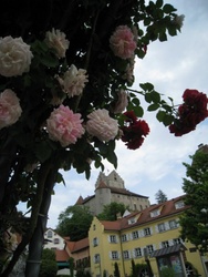 Bodenseefahrt 069_internet.jpg