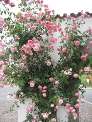 Bodenseefahrt 057_internet.jpg