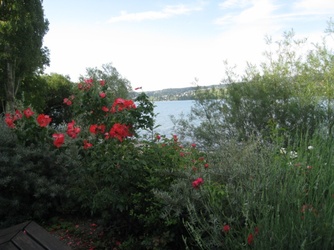 Bodenseefahrt 040_internet.jpg