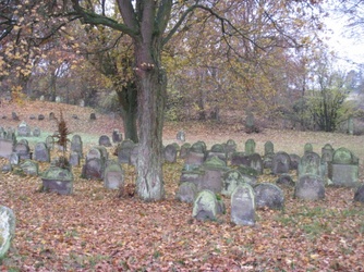 Fortbildung am 14.11.09 in Schwanfeld 007_internet.jpg