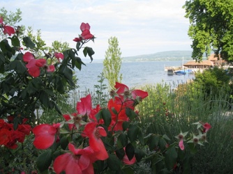 Bodenseefahrt 042_internet.jpg