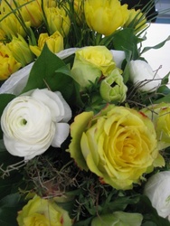 10 Jahre Dioezesanbuero Wuerzburg Stadt 023_internet.jpg